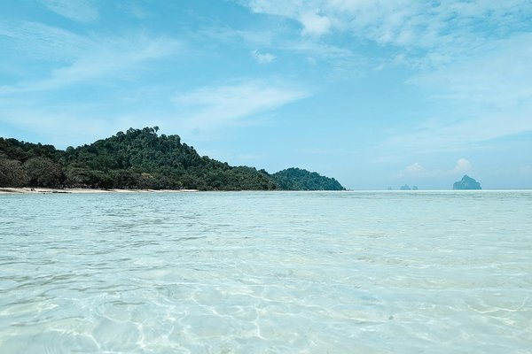 Où observer les baleines à bosse en migration au large des côtes de l'Afrique du Sud : périodes et lieux ?