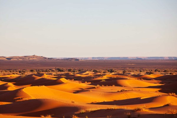 Quels sont les meilleurs spots pour une randonnée en pleine nature dans le désert du Sahara?