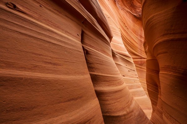 Où trouver les meilleurs spots pour une session de canyoning en Suisse ?